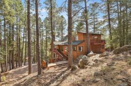 Luxury Cabin in the Pines