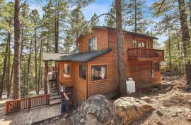 Luxury Cabin in the Pines